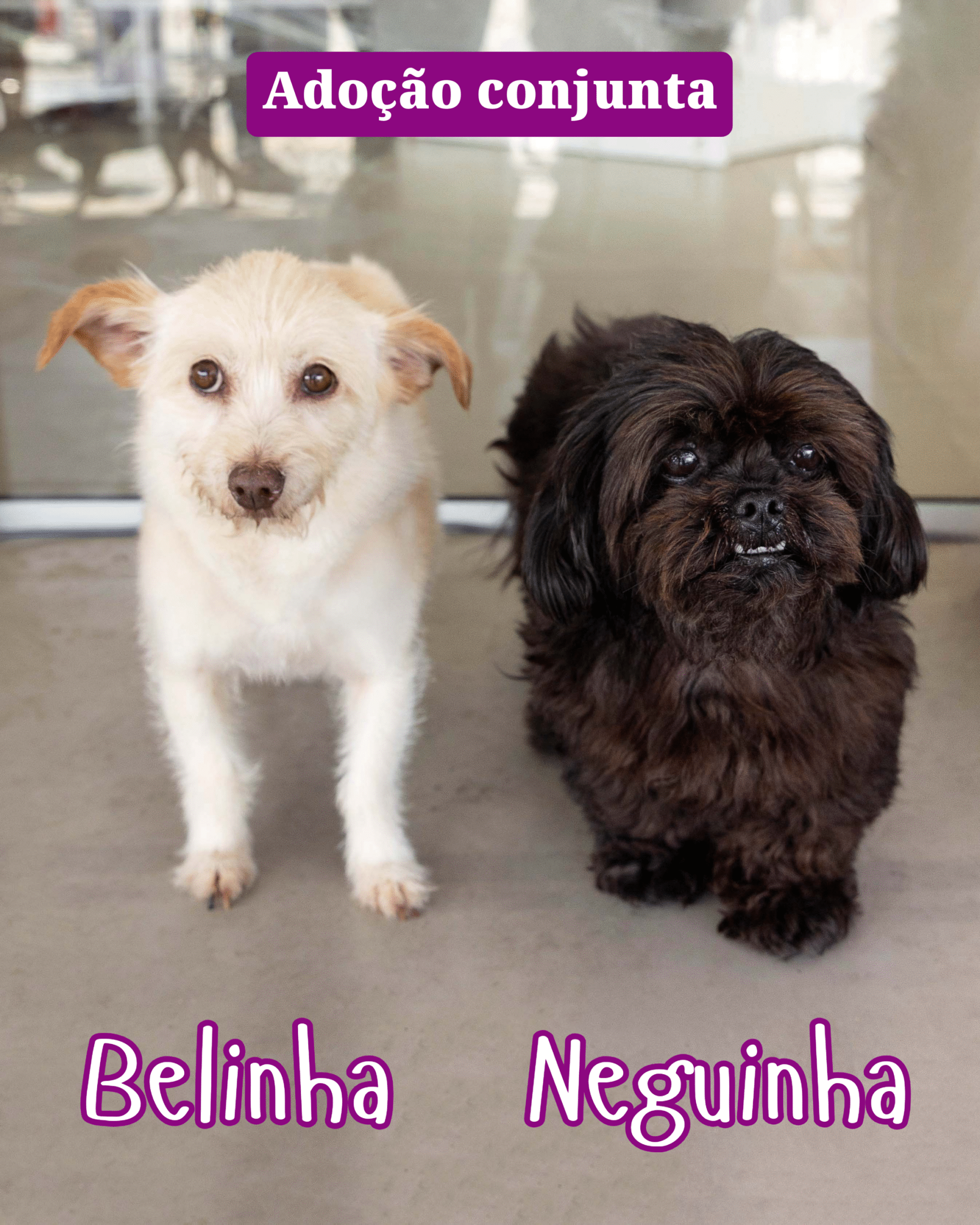 Belinha e Neguinha