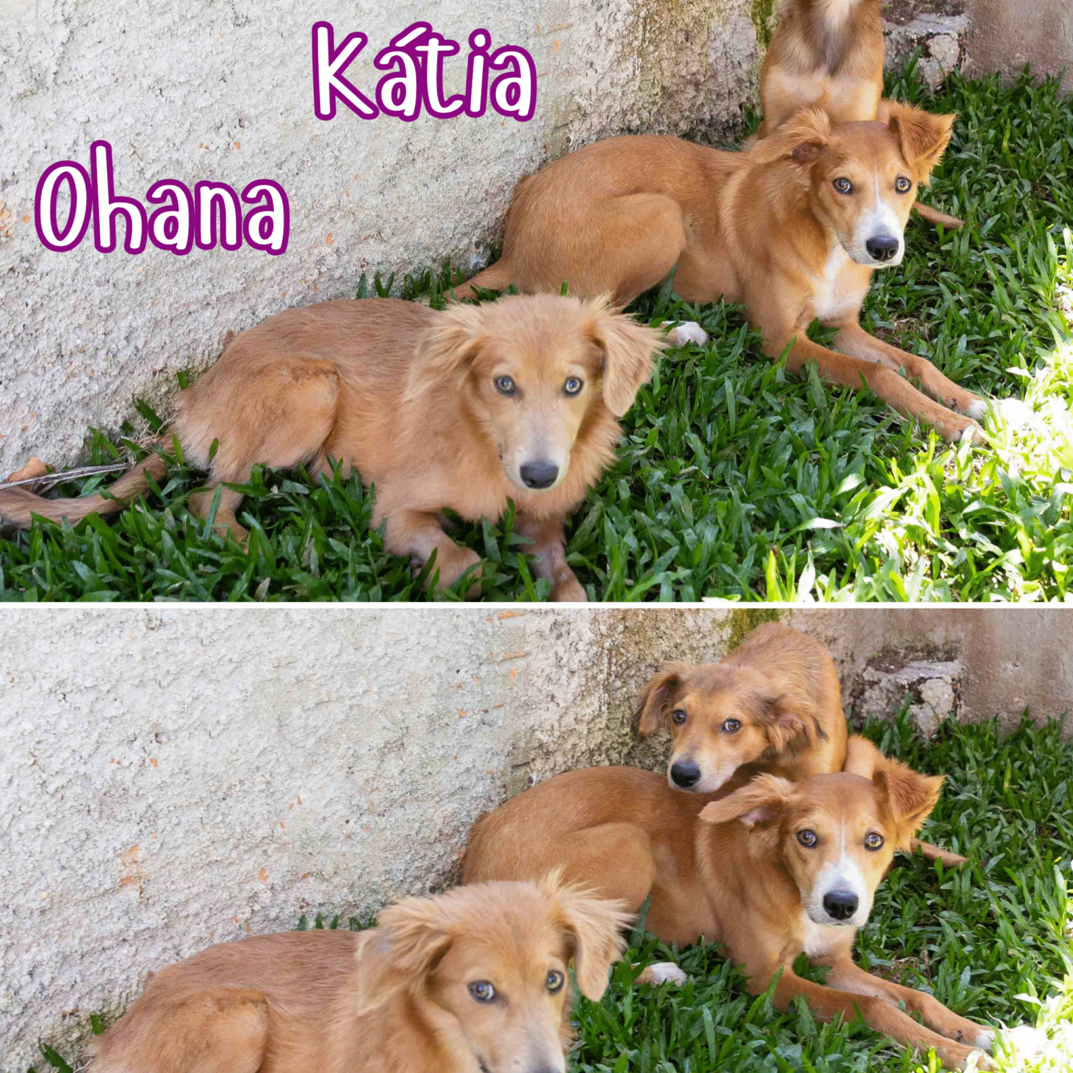 Sem título_20251125_193713